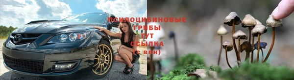 spice Баксан