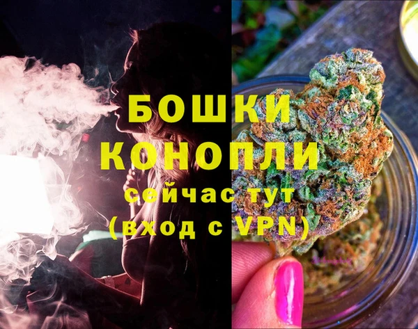 spice Баксан