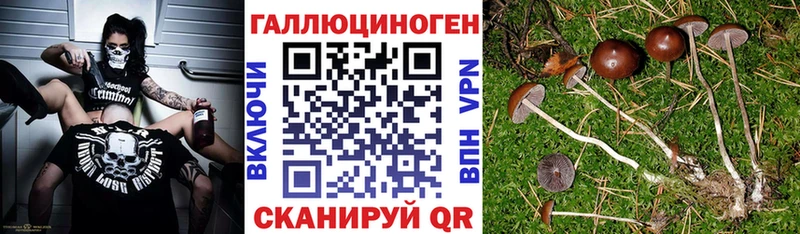 Псилоцибиновые грибы MAGIC MUSHROOMS  Тихвин 
